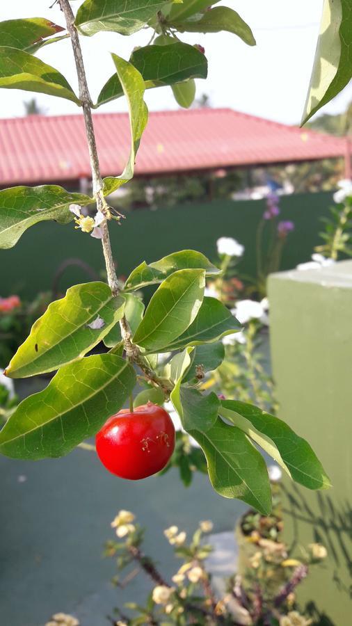 Heavenly Homestay Kochi Exterior foto